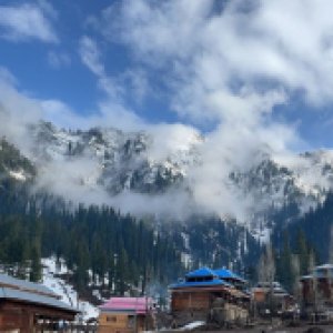 3 days trip Kashmir (4)